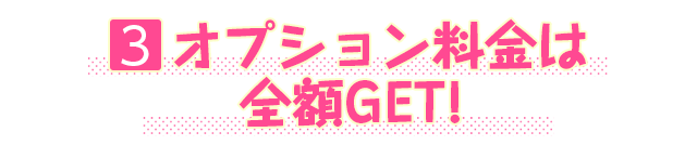 3.オプション料金は全額GET!